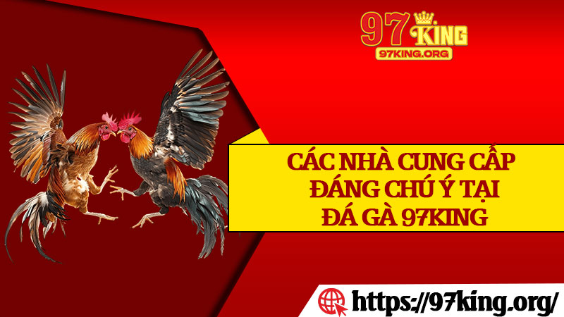 Các Nhà Cung Cấp Đáng Chú Ý Tại Đá Gà 97king