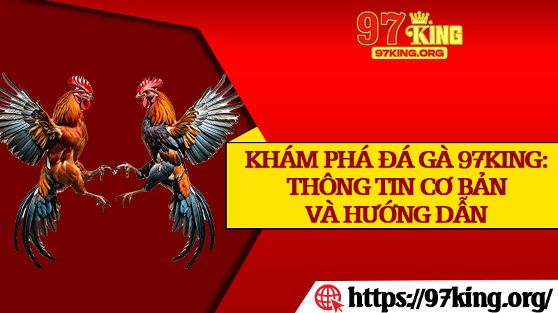 Khám Phá Đá Gà 97king: Thông Tin Cơ Bản Và Hướng Dẫn